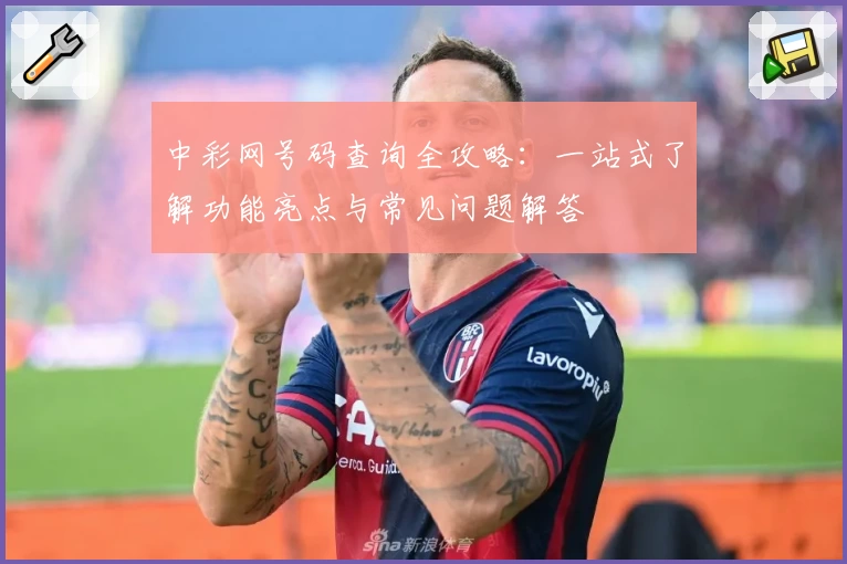 中彩网号码查询全攻略：一站式了解功能亮点与常见问题解答