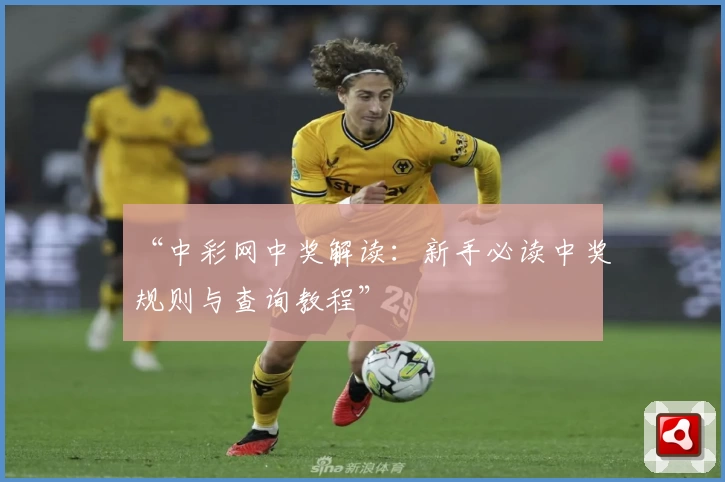“中彩网中奖解读:新手必读中奖规则与查询教程”