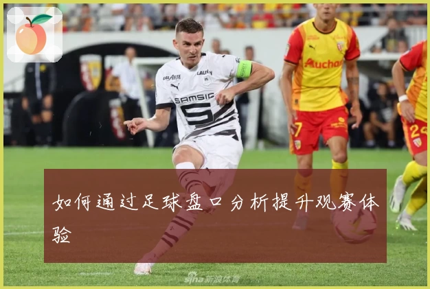 如何通过足球盘口分析提升观赛体验