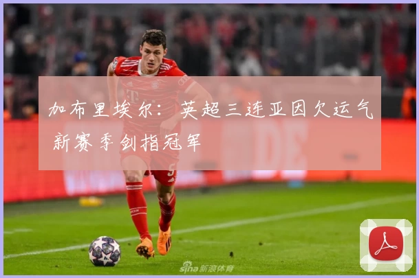 加布里埃尔:英超三连亚因欠运气 新赛季剑指冠军