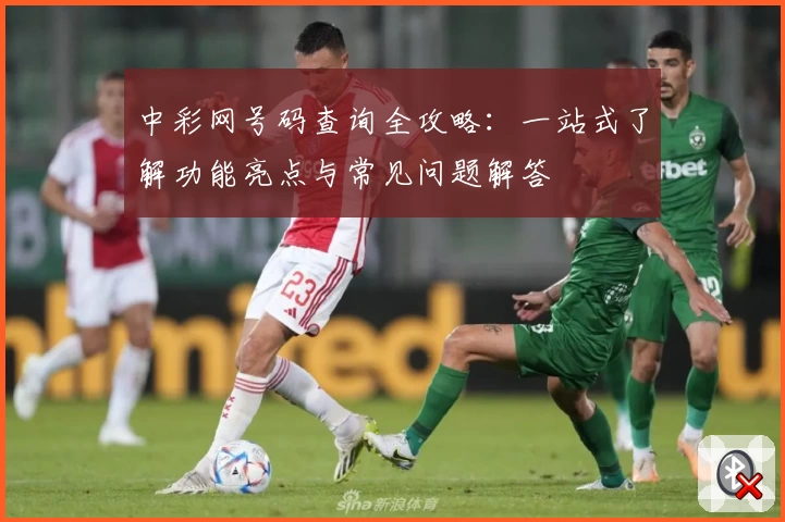 中彩网号码查询全攻略：一站式了解功能亮点与常见问题解答