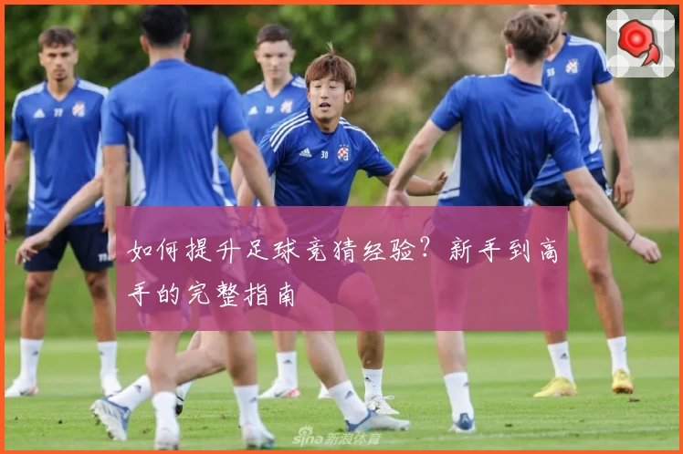 如何提升足球竞猜经验？新手到高手的完整指南