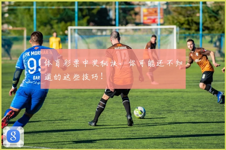 体育彩票中奖秘诀，你可能还不知道的这些技巧！