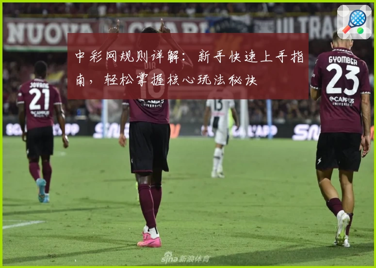 中彩网规则详解：新手快速上手指南，轻松掌握核心玩法秘诀