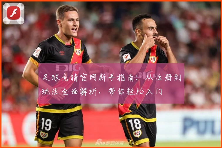 足球竞猜官网新手指南：从注册到玩法全面解析，带你轻松入门