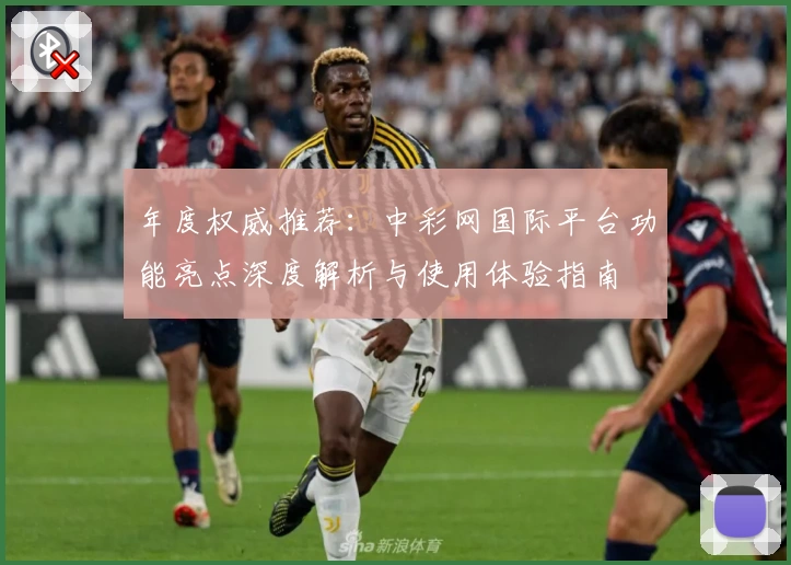 年度权威推荐：中彩网国际平台功能亮点深度解析与使用体验指南